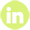 linkedin_icon